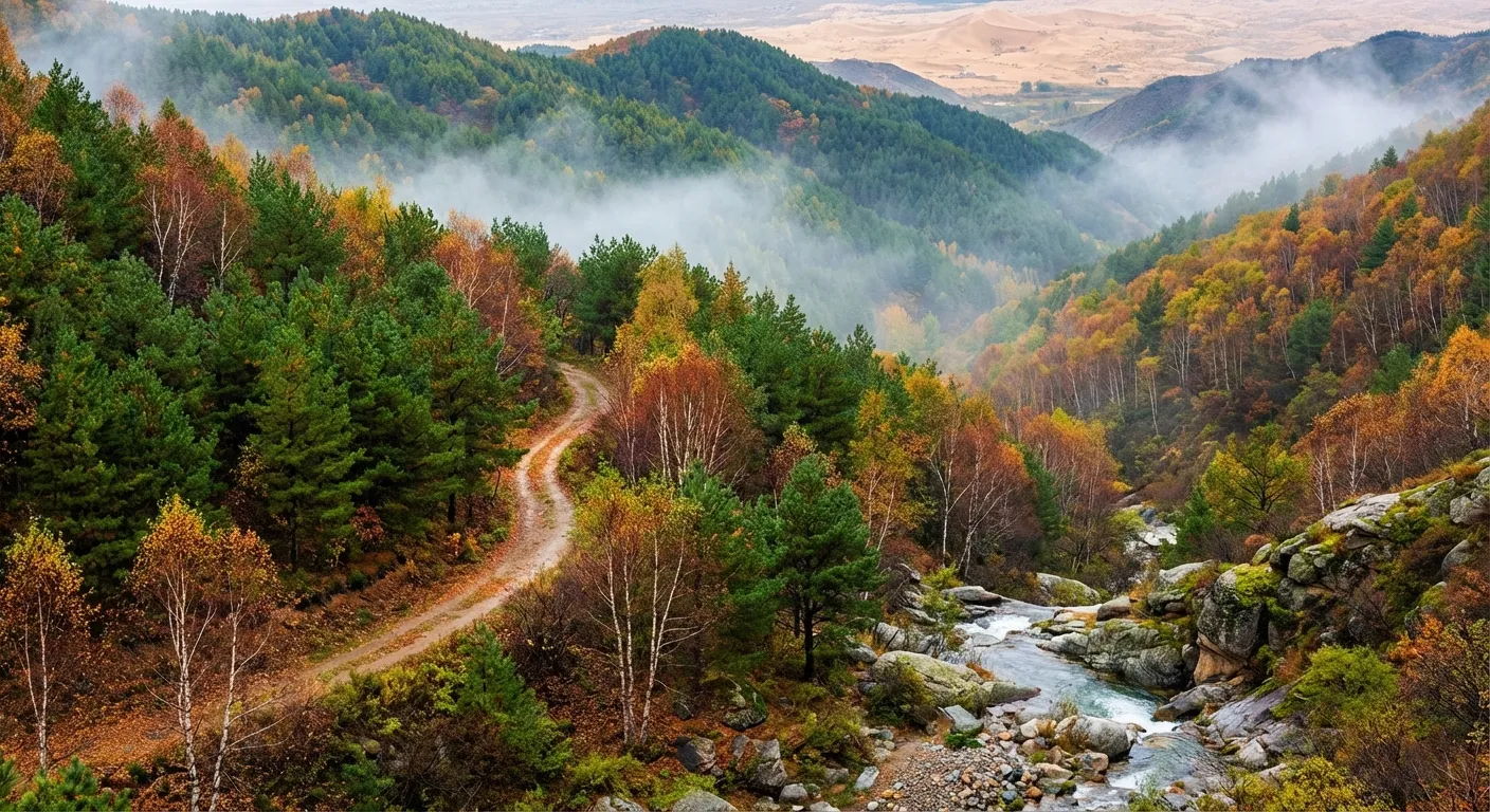 宁夏 六盘山国家森林公园